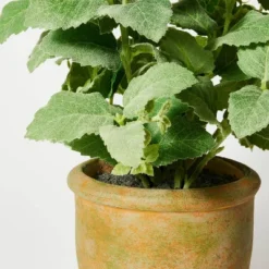 Artificial Potted Mint Leaf - Threshold™ Designed With Studio McGee -Best Home Decoration GUEST 19a08200 78b7 461e bcd9 c962450d4305