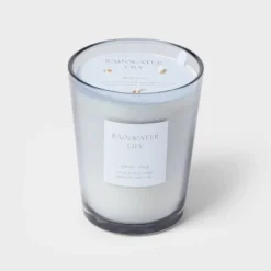 Colored Vase Glass With Dustcover Rainwater Lily Candle Gray - Threshold™ -Best Home Decoration GUEST 1a738ead 7e7a 4f46 b4ff 79439b3488d0