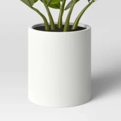 Small ZZ Plant - Threshold™ -Best Home Decoration GUEST 1e5c64a7 2a80 4b73 943a d7a4696cdf97