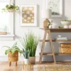Small Snake Plant In Plant Stand - Threshold™ 1 Small Snake Plant In Plant Stand - Threshold™ -Best Home Decoration GUEST 489d175d 669a 46a9 aa02 7878efa3550b