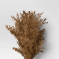 Pampas Grass Bundle - Threshold™ -Best Home Decoration GUEST 508108e8 4c81 4946 b427 ae9cac46da62