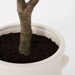 76.5"x 30" Artificial Olive Tree In Ceramic Pot - Threshold™ Designed With Studio McGee -Best Home Decoration GUEST 5f1c0b63 d965 4bfb 9559 6084dae15f92