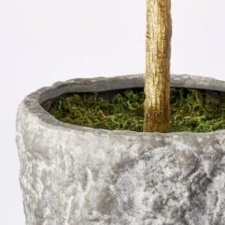 Banyan Tree Potted - Threshold™ Designed With Studio McGee -Best Home Decoration GUEST 7c945569 ea6c 4192 94d5 6530a4bfd2d3