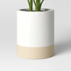 Large Variegated Plant - Threshold™ -Best Home Decoration GUEST 7d5c4722 8e80 4f51 9089 0f72358617e5