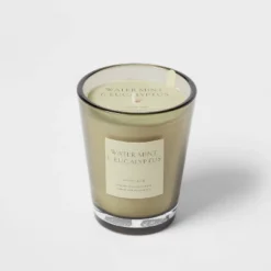 Colored Vase Glass With Dustcover Watermint And Eucalyptus Candle Green - Threshold™ -Best Home Decoration GUEST ae8e6bdf 6741 4047 bc7b 87c9f71c548e