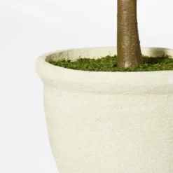 Ficus Tree - Threshold™ Designed With Studio McGee 7 Ficus Tree - Threshold™ Designed With Studio McGee -Best Home Decoration GUEST b527c49c 40e7 4f4d 8026 e60817b7e327