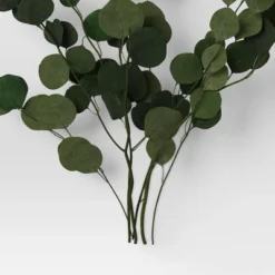 Preserved Eucalyptus Bundle - Threshold™ -Best Home Decoration GUEST c7dd4b87 faec 4ba4 94c4 c0953dd894d7