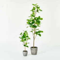 Banyan Leaf Potted Tree - Threshold™ Designed With Studio McGee -Best Home Decoration GUEST e0836b00 df5f 43ba bf4c e16aa35005ea