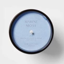 Colored Vase Glass With Dustcover Marine Moss Candle Blue - Threshold™ -Best Home Decoration GUEST e5035607 20cd 4e66 bc9b 502503c48b69