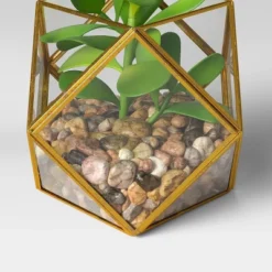 5" X 4" Artificial Succulent Plant With Brass Terrarium - Threshold™ -Best Home Decoration GUEST e581f30b 3349 4561 94cd 4b256f51db66
